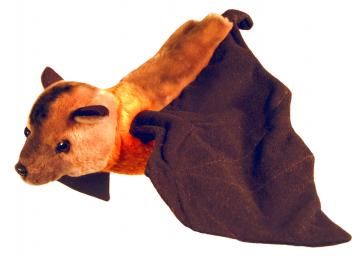 Jett the Flying Fox