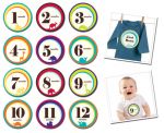 Sticky Bellies Wild One - Milestone Stickers 0-12 months