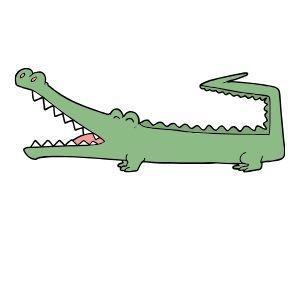 Crocodile