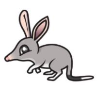 Bilby