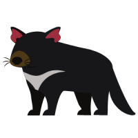 Tassie Devil