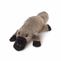 Parry Jnr Platypus (22cm)