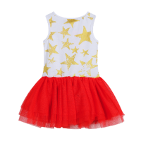 Red, White with Gold Stars Tutu Dress