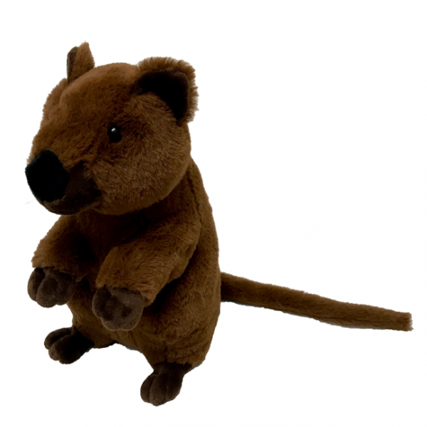 quokka cuddly toy
