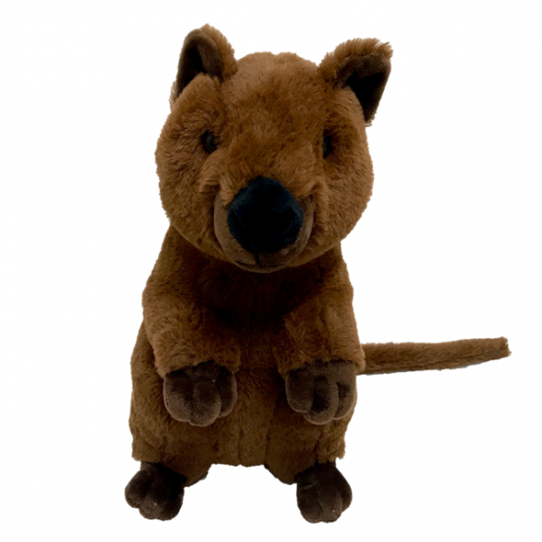 quokka cuddly toy