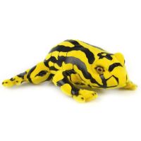 Corroboree Frog Soft Toy