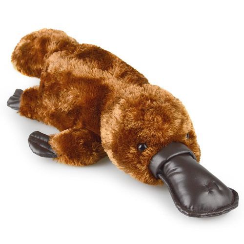 Silky Platypus (two sizes)