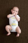 A Organic Cotton Onesie - Blinky Dreams - Koala