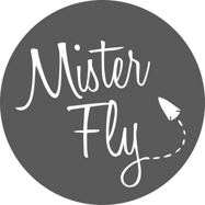 Mister Fly