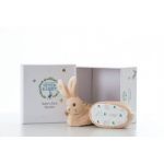 Peter Rabbit Bunny Booties