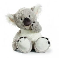 Nici Wild Koala (Only Mini 15cm left)